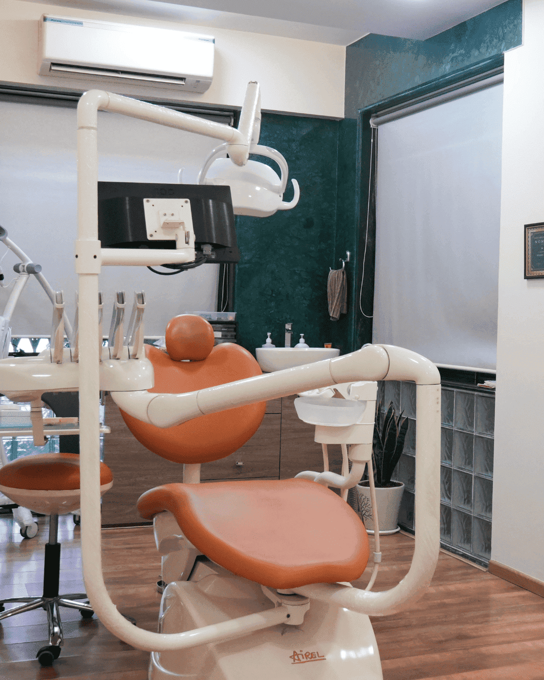 The Dental Arch
