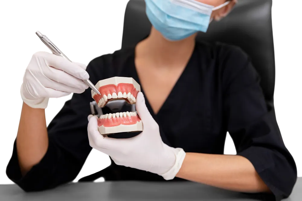 Step 5 Crown Placement final procedure